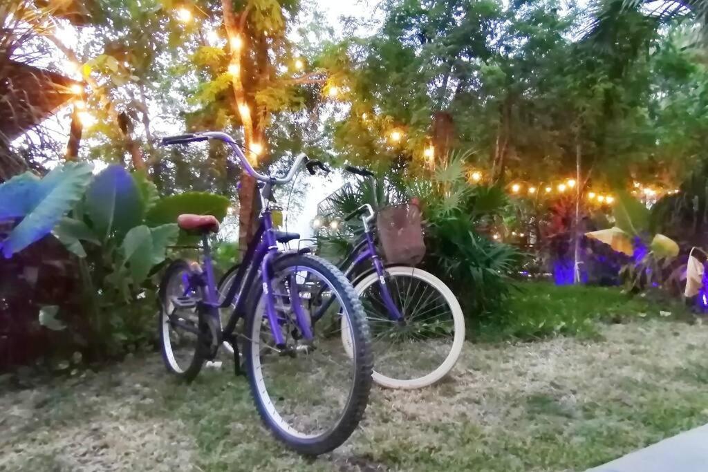 Dk31 Wifi 600Mb, Cheap Scooters By Moikkarentals Tulum Extérieur photo
